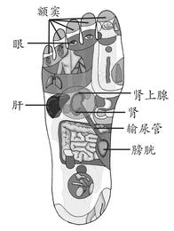 青光眼