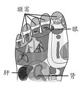 假性近视 假性近视