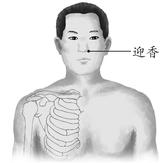 过敏性鼻炎