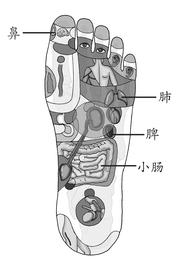 过敏性鼻炎