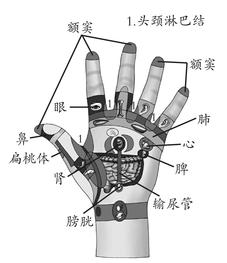过敏性鼻炎