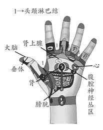 头面部疾病-偏头痛
