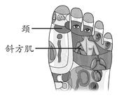 颈项部疾病-颈椎病