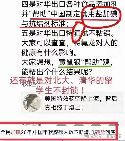 张宏良：中国人不应该像印第安人那样糊里糊涂被灭绝