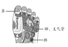 心肺部疾病-感冒
