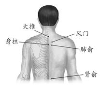 慢性支气管炎