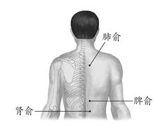 慢性支气管炎