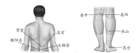 背腰部疾病-后背痛