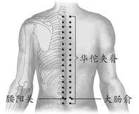 背腰部疾病-后背痛