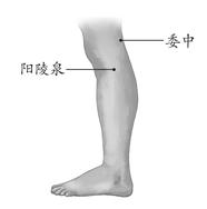 背腰部疾病-后背痛