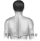 腹部疾病-胃炎