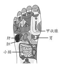 胃及十二指肠溃疡
