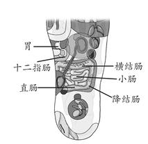 慢性腹泻