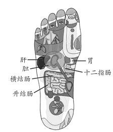 慢性胆囊炎