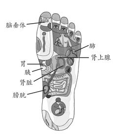 糖尿病