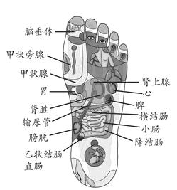 高脂血症