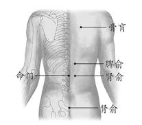 骨质疏松症