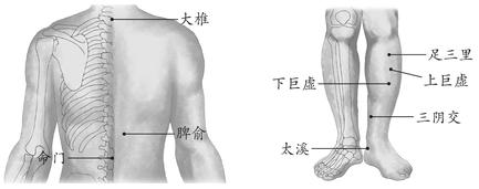 骨质疏松症