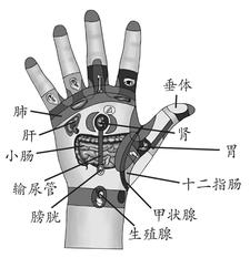 骨质疏松症