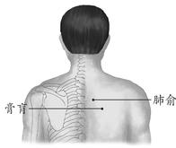女性、儿童疾病-贫血