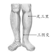 女性、儿童疾病-贫血