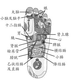 女性、儿童疾病-贫血