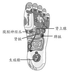 月经不调