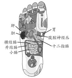 小儿腹泻