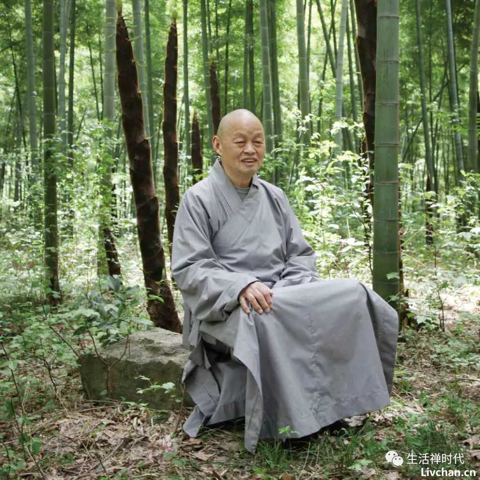 口述史 · 净慧长老与生活禅 