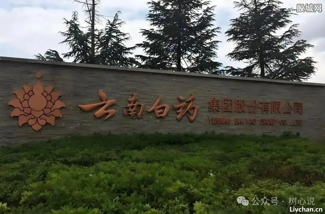 云南白药被“一锅端了”