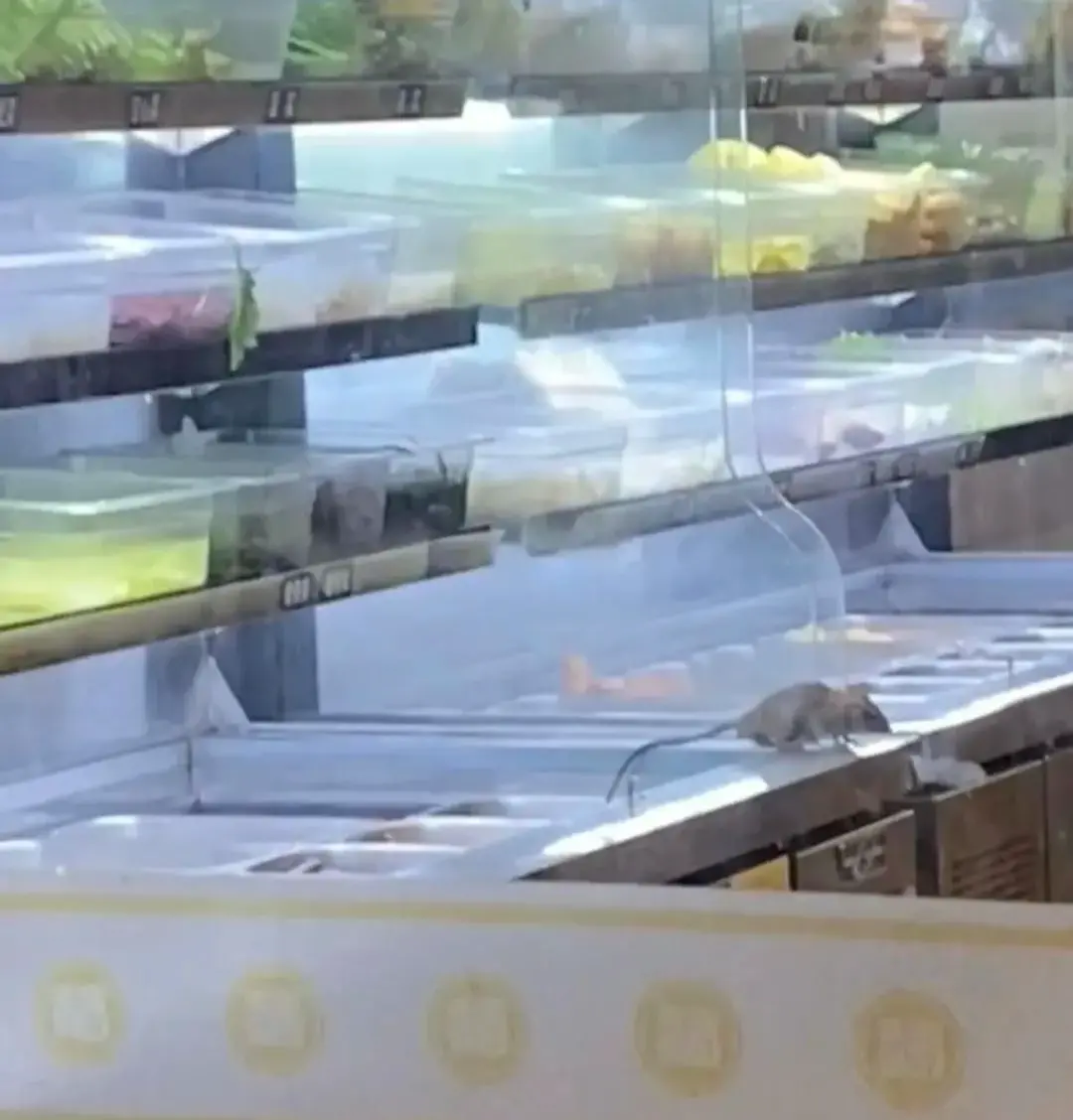 苏州官方通报“杨国福麻辣烫店食品柜出现老鼠”：责令停业 已立案