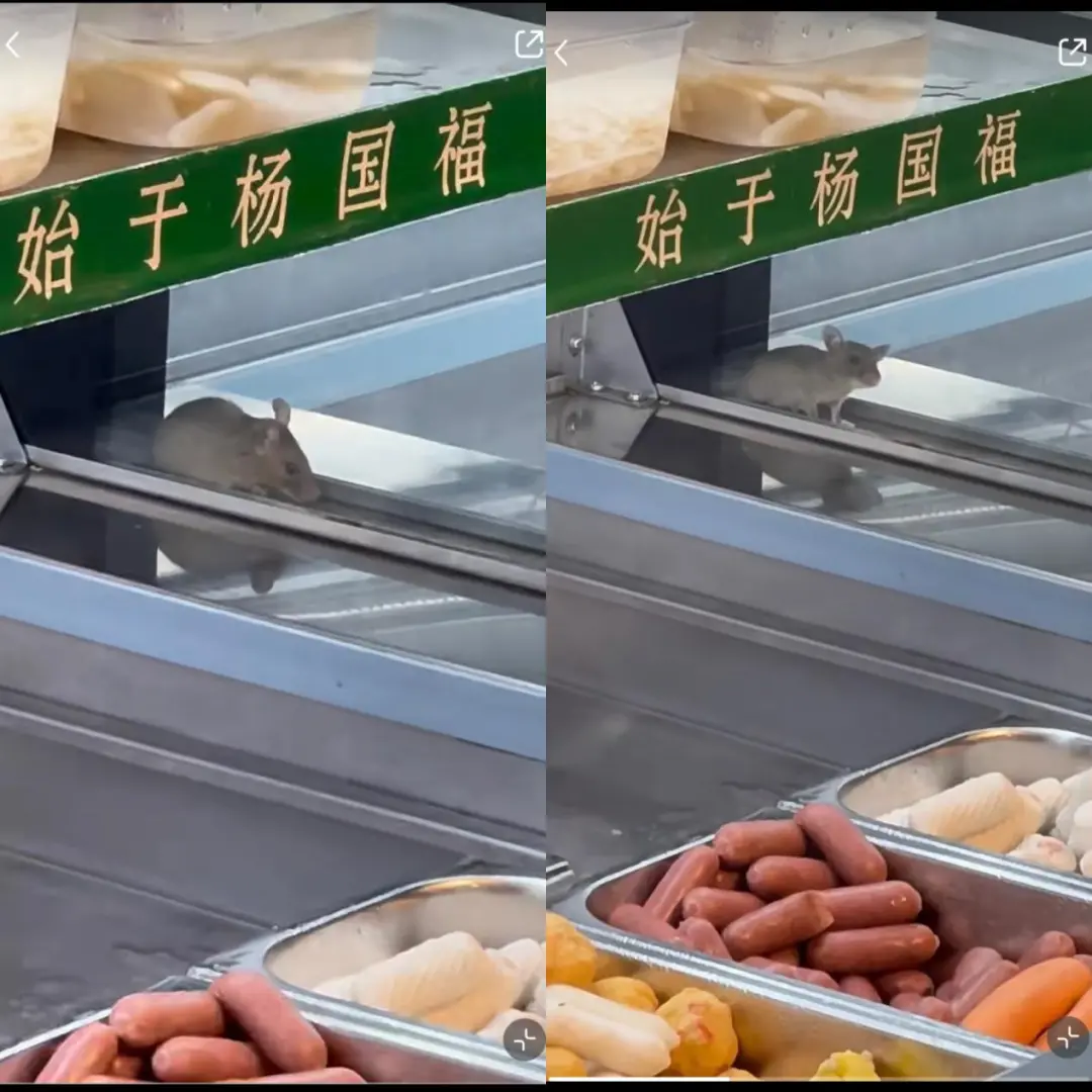 苏州官方通报“杨国福麻辣烫店食品柜出现老鼠”：责令停业 已立案