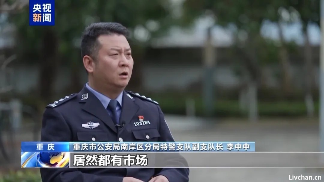 央视还原“胖猫事件”真相