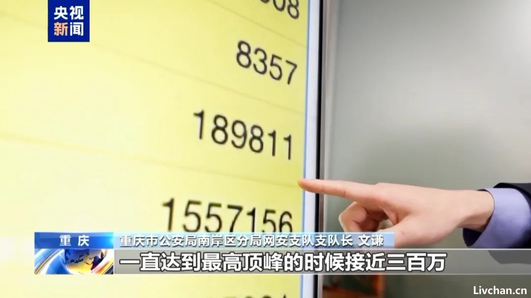 央视还原“胖猫事件”真相