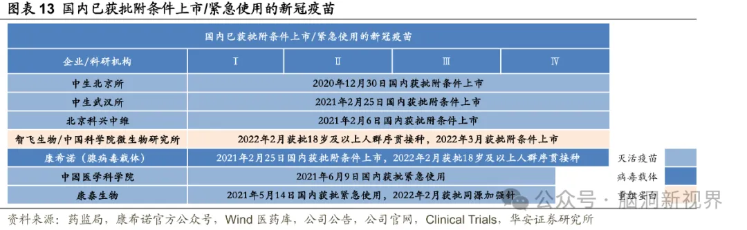 新冠疫苗之父杨晓明谣言与14亿人对疫苗安全的深忧