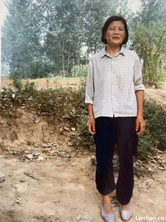 清明忆母丨仲伟民