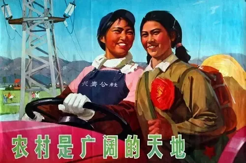 知青回城的真正原因,很多知青是不知道的!