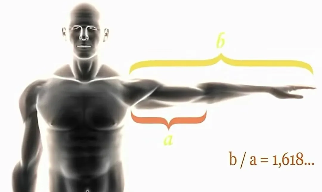 为什么科学家相信这个世界一定有造物主？