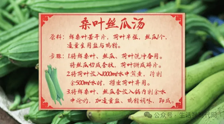 禅心养生 