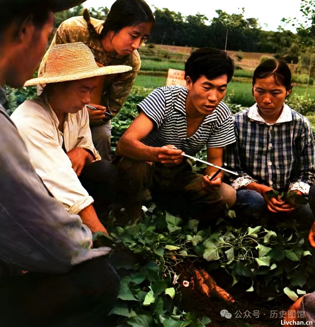 上世纪70年代的36张彩色老照片