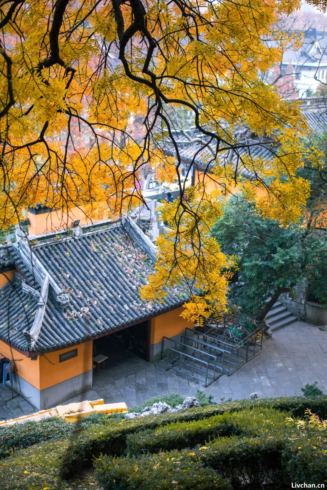一入秋，你该去南京一趟了！