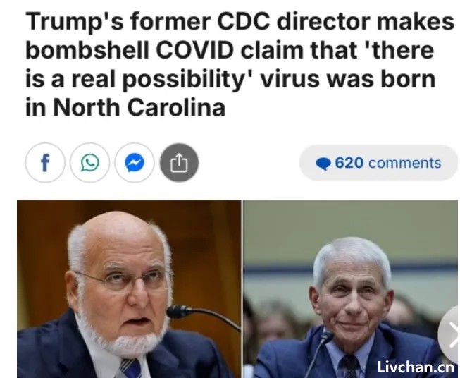 关于病毒的灵魂之问