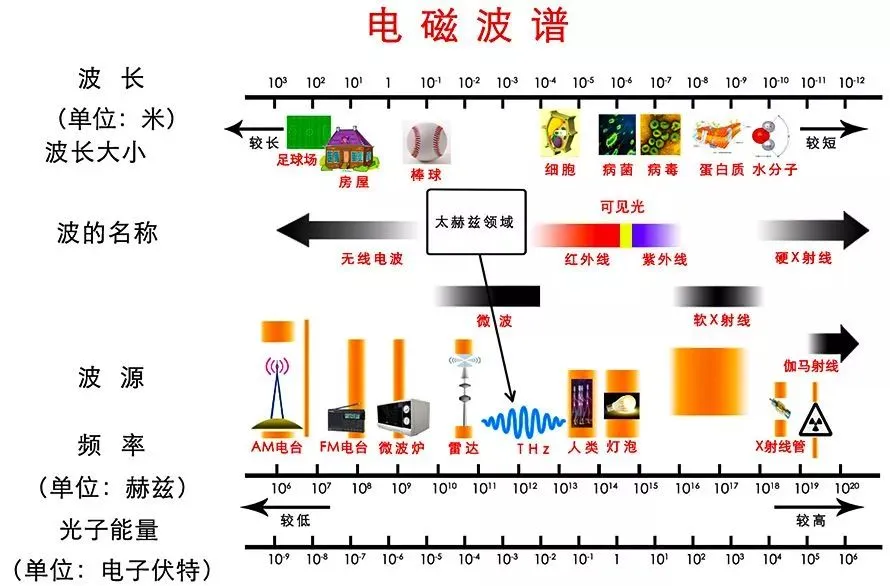 光和声音都是波，它们的区别是什么？