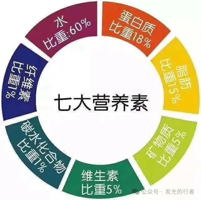 你是你吃出来的