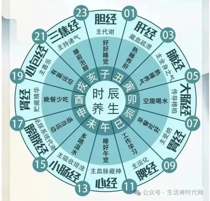 禅心养生 