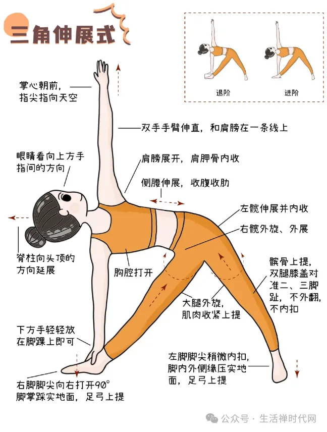 禅心养生 