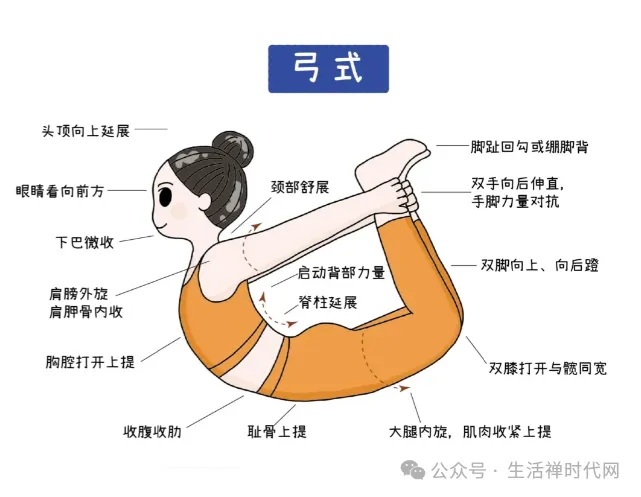 禅心养生 