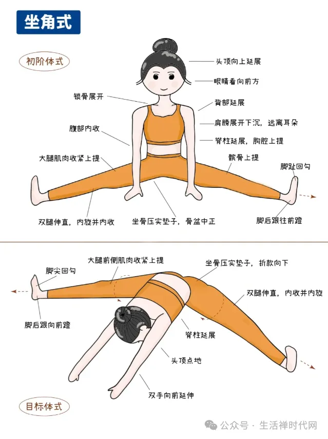禅心养生 