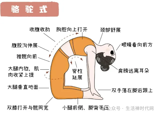 禅心养生 