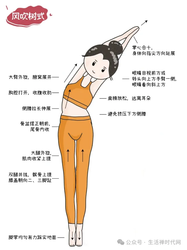 禅心养生 